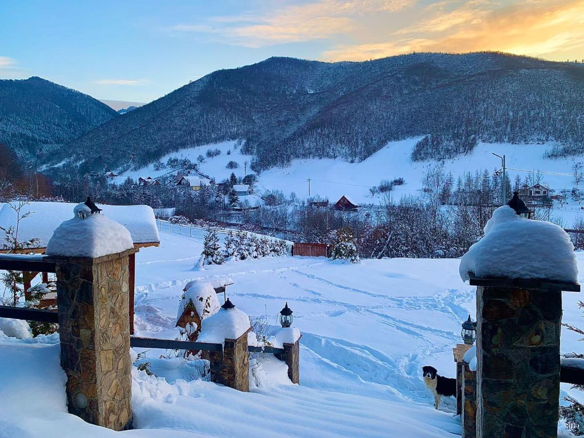 Rustic Cottage Сибиу Екстериор снимка