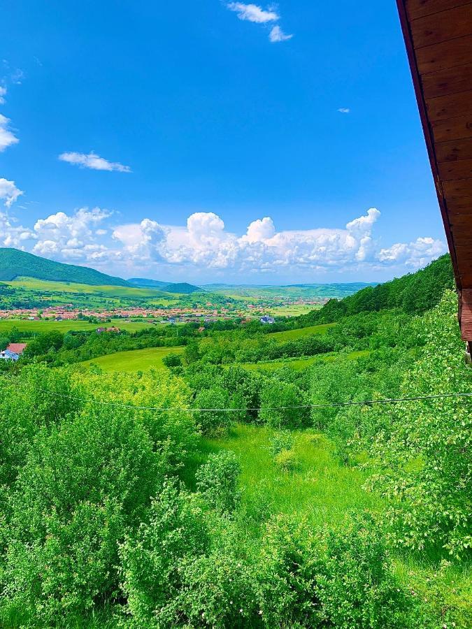 Rustic Cottage Сибиу Екстериор снимка