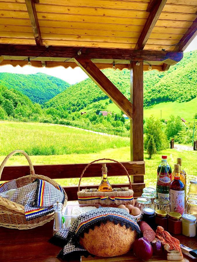 Rustic Cottage Сибиу Екстериор снимка