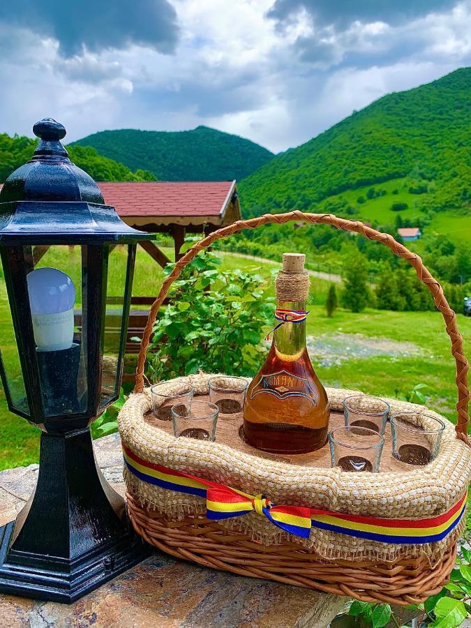 Rustic Cottage Сибиу Екстериор снимка